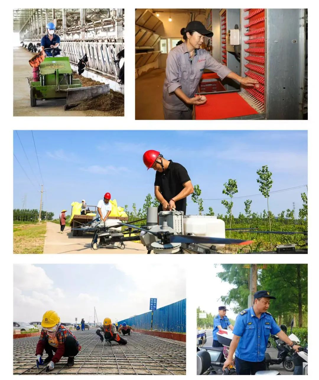 /gb2312/qishiyegonghui/17834.html